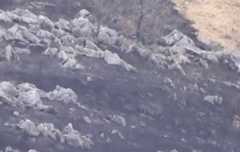 【続報】秋吉台「山焼き」で死亡したのは58歳男性　延焼防止作業中に火が燃え移り全身やけど　山口・美祢市