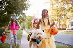 How to navigate cultural appropriation versus appreciation this Halloween
