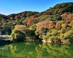 初心者にもおすすめ!絶景の紅葉が楽しめる登山、埼玉・鐘撞堂山(かねつきどうやま)【見頃|11月下旬〜12月中旬】