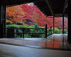 【京都・一乗寺】詩仙堂の額縁庭園の紅葉は息を飲む美しさ！おすすめ茶屋＆紅葉スポットを紹介