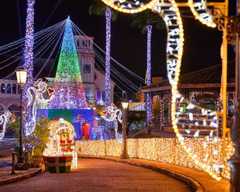 和歌山最大級の光の祭典「フェスタ・ルーチェ」に注目！幻想的なイルミネーションやドローンショーが夜を彩る