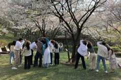 Local matchmaking programs make comeback despite past backlash