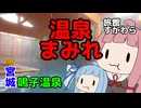 1泊だと全部の温泉に入りきれない宿 温泉姉妹 琴葉の湯【VOICEROID旅行】