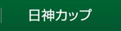 日神カップ