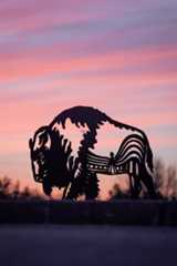Photo of a Bison statue from Regina, the capital city of Saskatchewan 