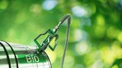 Микроводорасли, амоняк, водород и отпадъци: Имат ли алтернатива традиционните горива