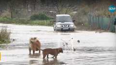 Втори ден: Бедствено положение в Югозападна България заради проливните дъждове