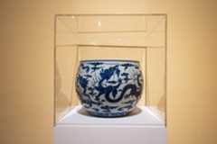 Everyday-Rebellions-Sophia Rivera-Korver (1)-2