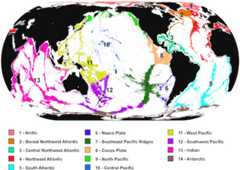 How anthozoan distribution records from OBIS contribute to the global biogeography of the ocean midnight zone