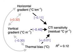 Some fish go deeper to cool off in warming seas