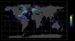 Occupancy‐derived thermal affinities reflect known physiological thermal limits of marine species