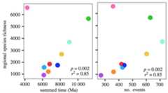 High species richness in the Central Indo-Pacific explained by time and many colonization events