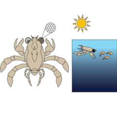 Through the eyes of a Cretaceous crab