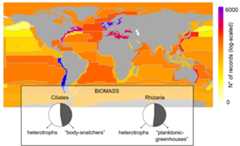 Microscopic “body-snatchers” and “planktonic-greenhouses” are ubiquitous with contrasting biogeographies and abundance in our oceans