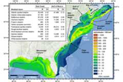 Habitat-based cetacean density models for the U.S. Atlantic and Gulf of Mexico