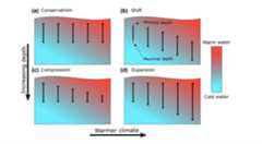 Cold-water species deepen to escape warm water temperatures