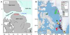 Detecting sperm whales in the eastern Canadian Arctic as sea-ice continues to melt