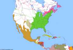 Political map of North America & the Caribbean on 13 May 1846 (Manifest Destiny: Outbreak of the Mexican–American War), showing the following events: Coup of Mariano Paredes; Second separation of Yucatán; Crossing the Nueces Strip; Thornton Affair; Siege of Fort Texas; US Declaration of War on Mexico.