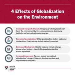 4 Effects of Globalization on the Environment