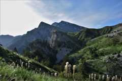 Temperate in Aoos National Park