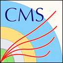 CMS experiment