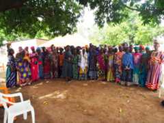 Microcréditos concedidos en Guinea Bissau