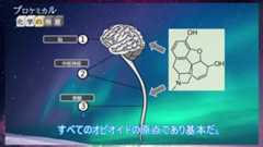 “麻薬の王様”モルヒネは正義か悪か。がん患者の痛みを緩和させる一方、人間崩壊を招く恐ろしさも……最強クラスの性質を徹底解説