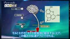 “麻薬の王様”モルヒネは正義か悪か。がん患者の痛みを緩和させる一方、人間崩壊を招く恐ろしさも……最強クラスの性質を徹底解説