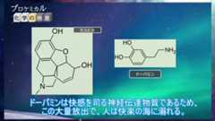 “麻薬の王様”モルヒネは正義か悪か。がん患者の痛みを緩和させる一方、人間崩壊を招く恐ろしさも……最強クラスの性質を徹底解説