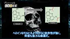 “麻薬の王様”モルヒネは正義か悪か。がん患者の痛みを緩和させる一方、人間崩壊を招く恐ろしさも……最強クラスの性質を徹底解説