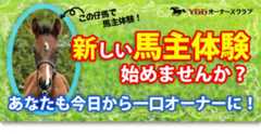 シュシュブリーズの20の近況と､8月27日から募集開始の1歳馬情報！ 新しい馬主体験始めませんか？