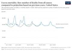 A thumbnail of the "Excess mortality: Raw number of deaths from all causes compared to projection based on previous years" chart