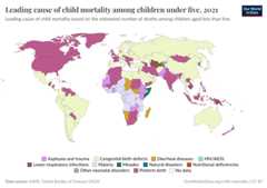 A thumbnail of the "Leading cause of child mortality among children under five" chart