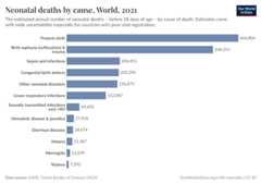 A thumbnail of the "Neonatal deaths by cause" chart