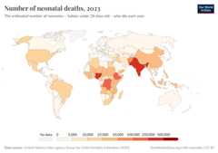A thumbnail of the "Number of neonatal deaths" chart