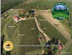 Microsoft Word - OMV_grape_var_fullname.docx