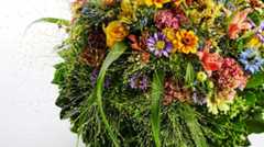 頼もしいリーダーだった姉の闘病生活に励ましを