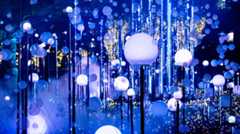 【2025版】東西イルミネーションの名所10選