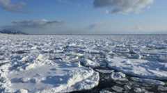 流氷ウォークに野生動物　知床で楽しむ冬の大自然