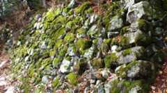 秀吉出世を決めた小谷城　落城の鍵は支城にあった