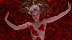 American Beauty