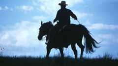 L'uomo che sussurrava ai cavalli