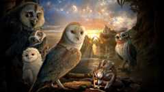 Il Regno di Ga' Hoole - La leggenda dei guardiani