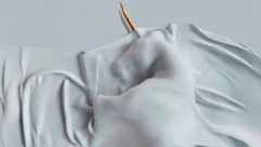 Death of a Unicorn Death of a Unicorn