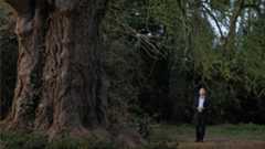 Silent Friend, una sfida vinta: Enyedi affronta con originalità l'impresa di relazionare esseri umani con il mondo vegetale