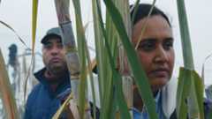 Historias del Buen Valle