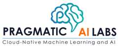 Pragmatic AI Labs