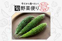 旬野菜便り♪ゴーヤをまるごとおいしく使い切り！