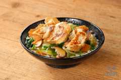 Ｐｏｗｅｒ　Ｇｙｏｚａ　ＤＯＮ