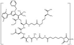 Figure imgf000985_0001